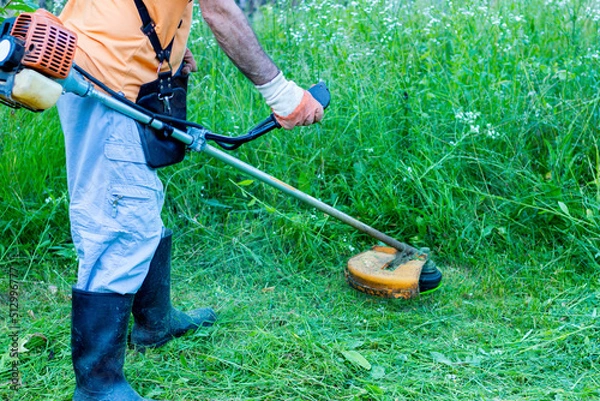 Fototapeta .A mature man in protective clothing, and gloves with a trimmer. .Mowing tall grass and the weeds with a trimmer. Selectively focus
