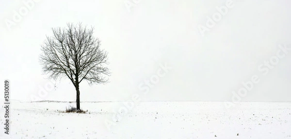 Obraz Alone tree in field during first snow