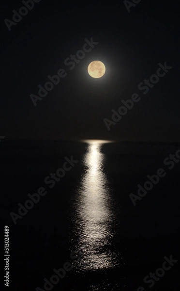 Obraz moon over the sea