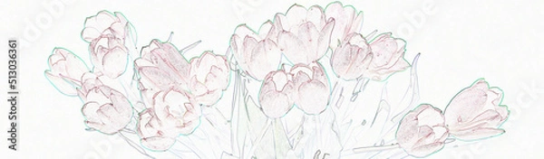 Fototapeta drawing of a bouquet of red tulips