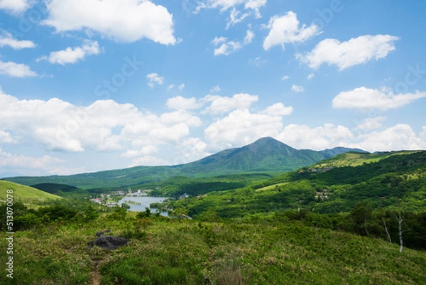 Fototapeta 新緑を越え緑深まる白樺湖の展望