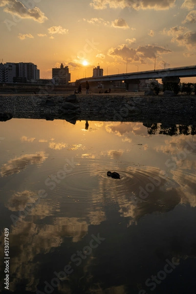 Obraz 夕方の多摩川