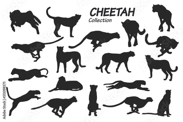 Obraz cheetah silhouettes