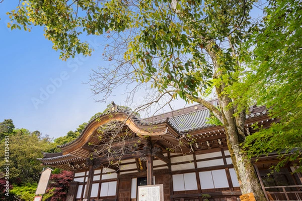 Fototapeta 深大寺　新緑 　浮岳山昌楽院　厄除元三大師