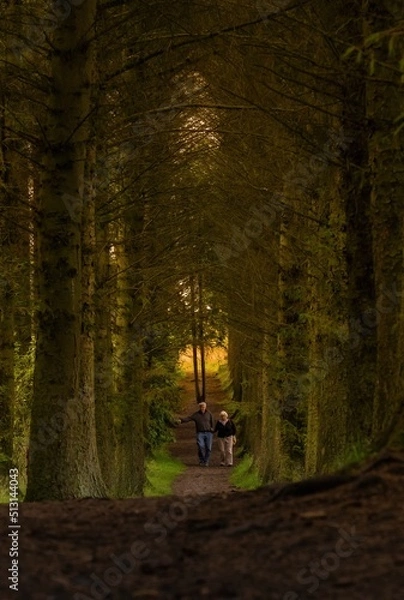 Fototapeta Growing old together