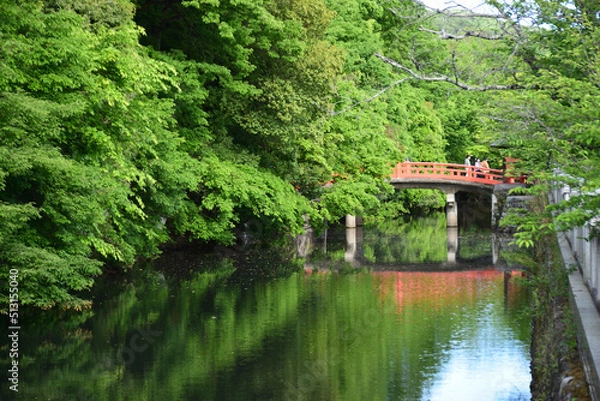Fototapeta 武田神社