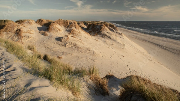 Fototapeta Hvide Sands Denmark 