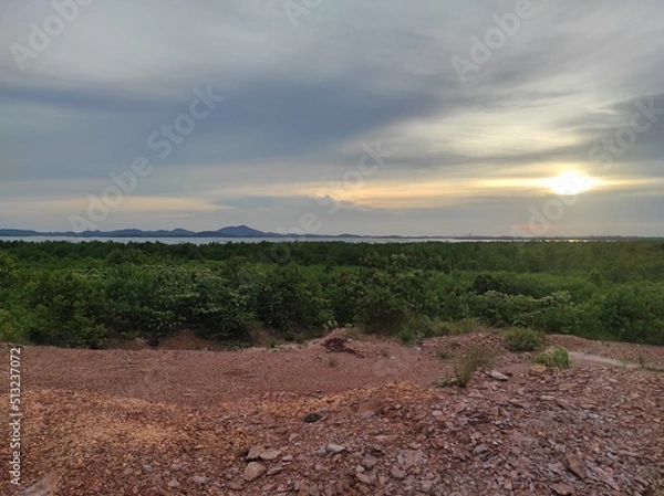 Fototapeta vineyard in autumn