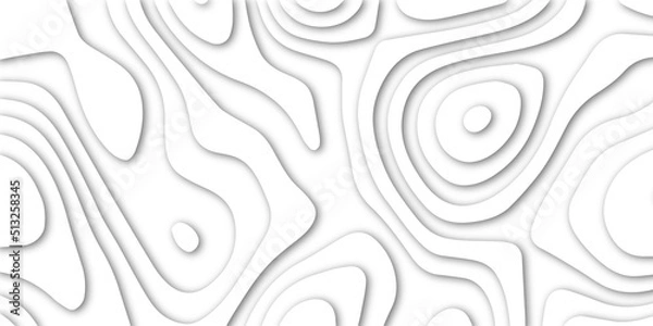 Fototapeta Abstract white papercut background with waves. Abstract papercut and multi layer cutout geometric pattern on vector, Abstract soft white background with waves, textured Papercut