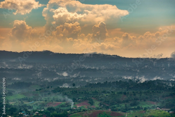 Fototapeta White clouds over the fores