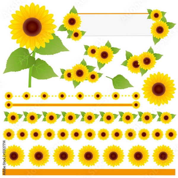 Fototapeta 夏向け　ヒマワリ　広告　装飾 セット