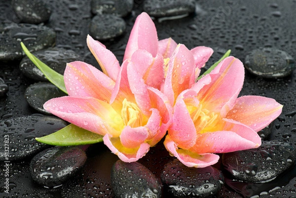 Obraz Tulipany na kamieniach do spa