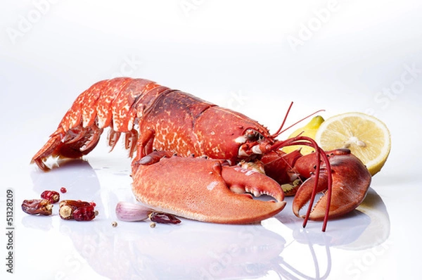 Obraz Cooked lobster on slate