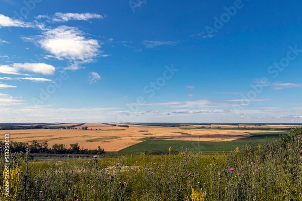 Fototapeta Summer, landscape with a view of the meadow, fields, river and blue sky. Sunny summer scene with river, fields, green hills and beautiful clouds in the blue sky. Nice panoramic view.