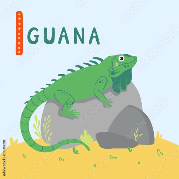 Fototapeta Cute green Iguana with long tail on stones. Zoo cute animal for kids design