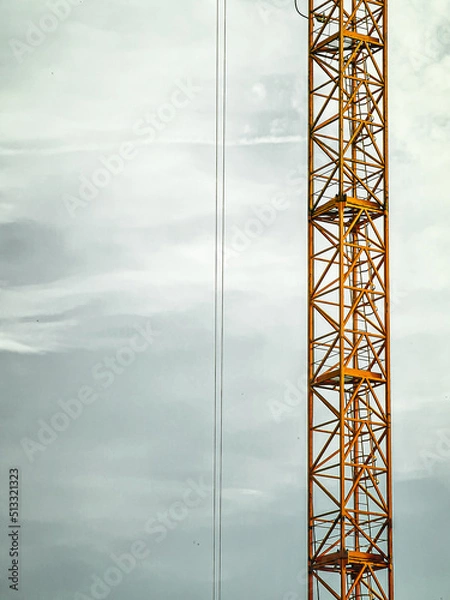 Obraz Crane close up