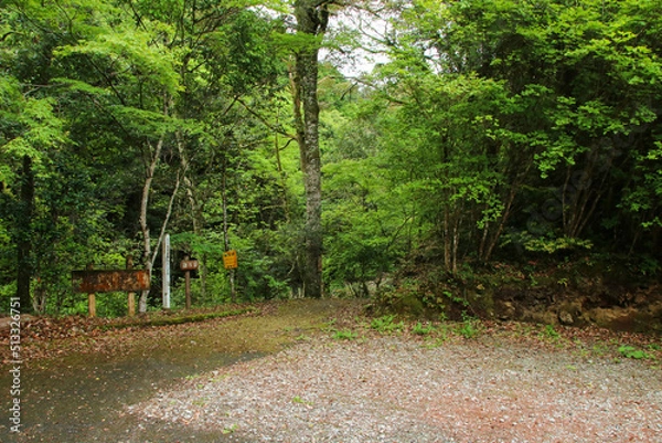 Fototapeta 愛媛県西予市　桂川渓谷の風景
