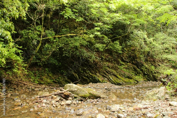 Fototapeta 愛媛県西予市　桂川渓谷の風景
