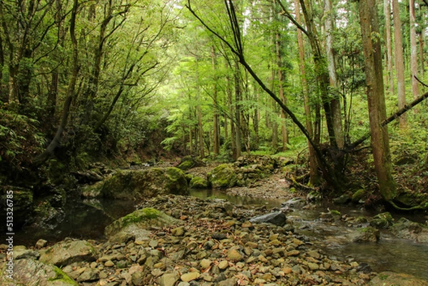 Fototapeta 愛媛県西予市　桂川渓谷の風景
