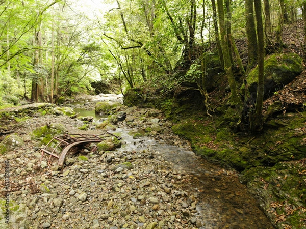 Fototapeta 愛媛県西予市　桂川渓谷の風景
