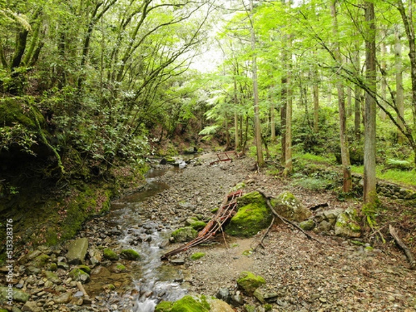 Fototapeta 愛媛県西予市　桂川渓谷の風景
