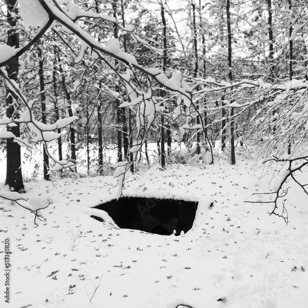 Obraz white forest black hole
