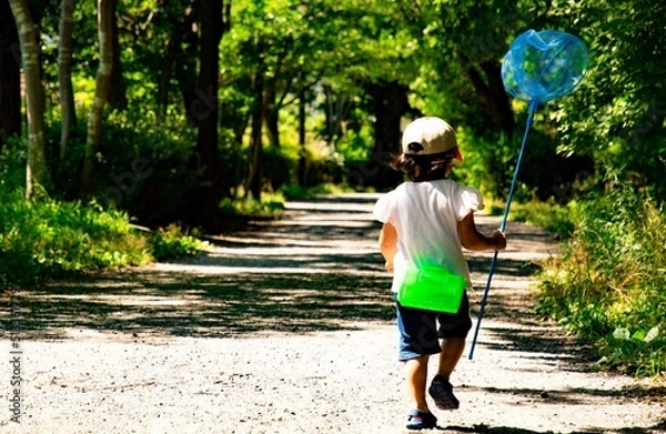 Fototapeta 夏休みの子ども