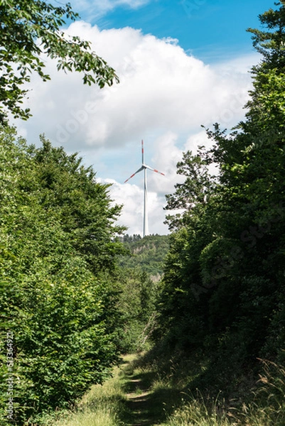 Obraz Windrad im Wald