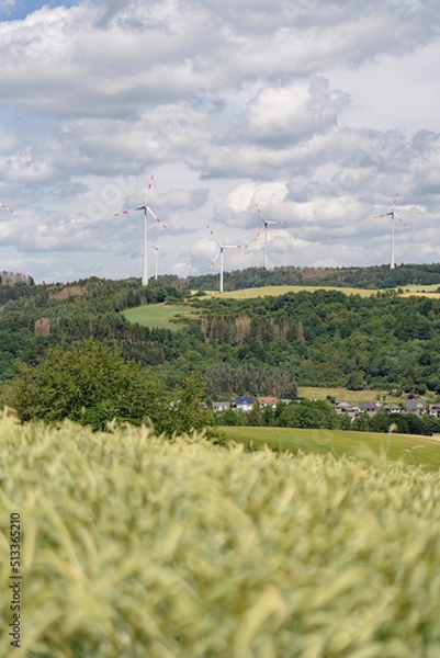 Obraz Windräder in der Natur