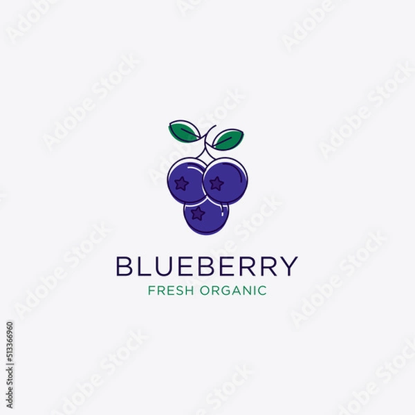 Fototapeta Blueberry Fruit logo design vector, Blueberry template illustration