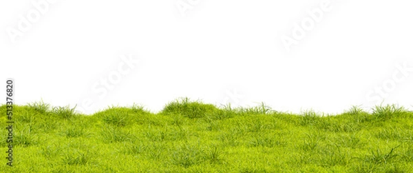 Obraz Green grass meadow isolated on white background. Grass lawn, 3d Render
