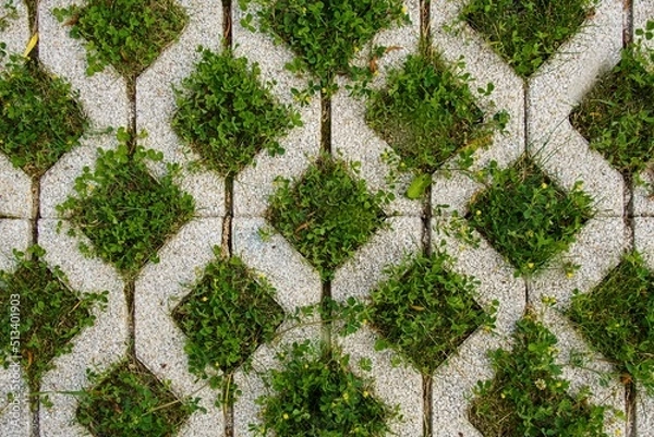 Obraz Mesh ecological coating for parking cars made of concrete blocks with the inclusion of green lawn grass