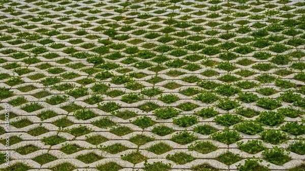 Fototapeta Mesh ecological coating for parking cars made of concrete blocks with the inclusion of green lawn grass