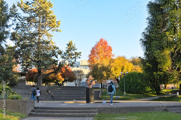 Fototapeta Unrecognizable students walking on the campus of University of Talca (Chile) during autumn sunny afternoon