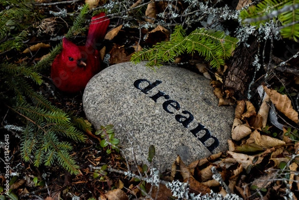 Obraz Dream Cardinal