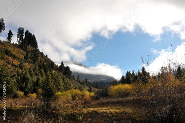 Obraz autumn in the mountains