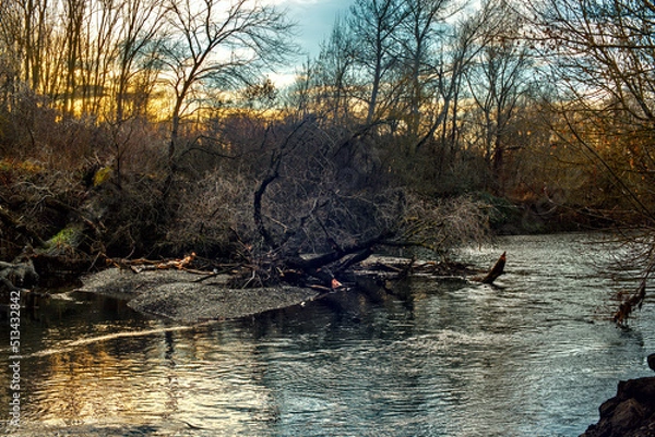 Obraz Herbstliche/Winterlich kahle Bäume an einem Fluss 2