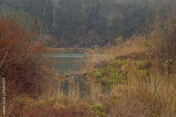 Obraz Regnerische Aulandschaft