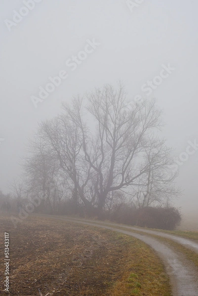 Obraz Herbstliche nebelige Landschaft 4