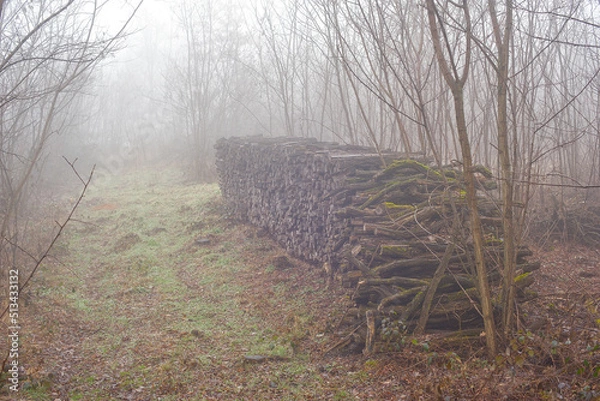 Obraz Herbstliche nebelige Landschaft 2