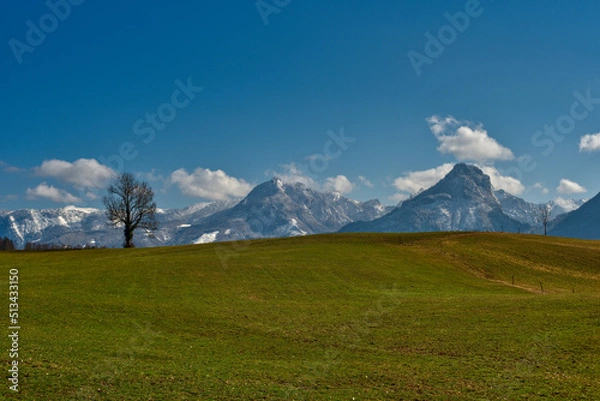 Obraz Wiese mit Baum und Gebirgskette