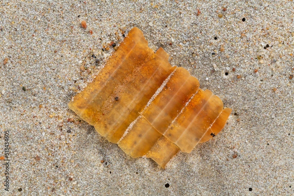 Fototapeta Alien Object on the Beach 8