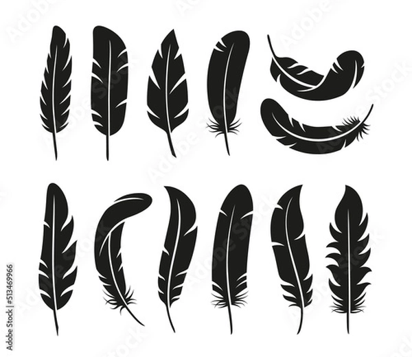 Fototapeta Isolated feather silhouettes. Flat black feathers, vintage bird plumage elements. Smooth graphic shapes, flying decorative elements tidy vector collection