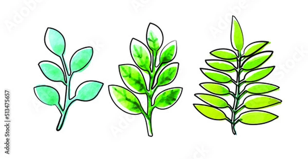 Fototapeta Hand-drawn watercolor illustration of leaves. A set of bright green leaves highlighted on a white background. Schematic style with outline in black ink and textured splash spot