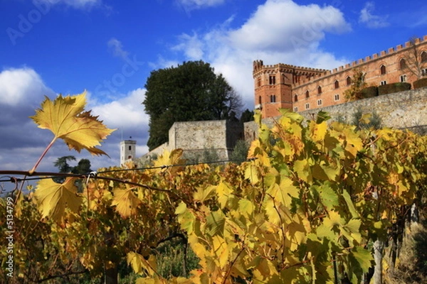 Fototapeta vigneto e castello