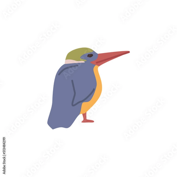 Fototapeta African birds and biodiversity, isolated exotic avian animal with bright plumage on wings. Tropical fauna, parrot living in wilderness. Flat cartoon, vector illustration