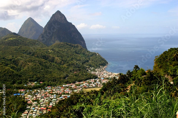 Fototapeta pythons st lucie