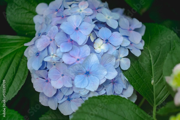 Obraz OLYMPUS DIGITAL CAMERA