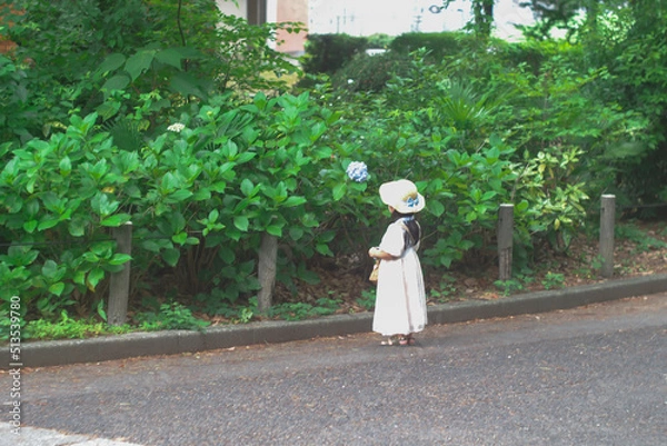 Obraz OLYMPUS DIGITAL CAMERA