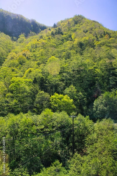 Obraz Mountains and trees in Daisetsuzan National Park on Hokkaido Island in the spring